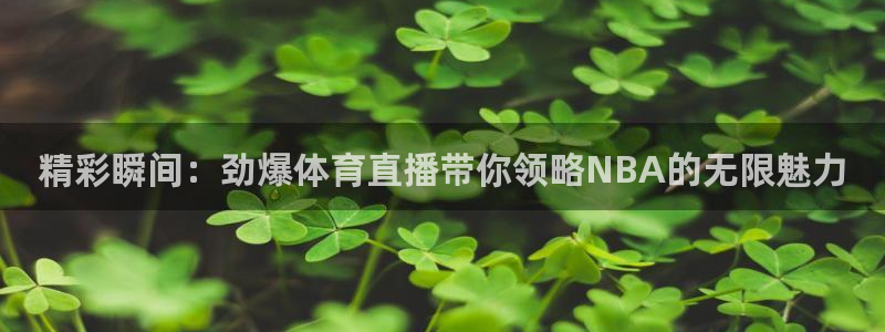 精彩瞬间：劲爆体育直播带你领略NBA的无限魅力